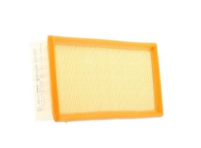FILTRO AR - FL1010 - AP021